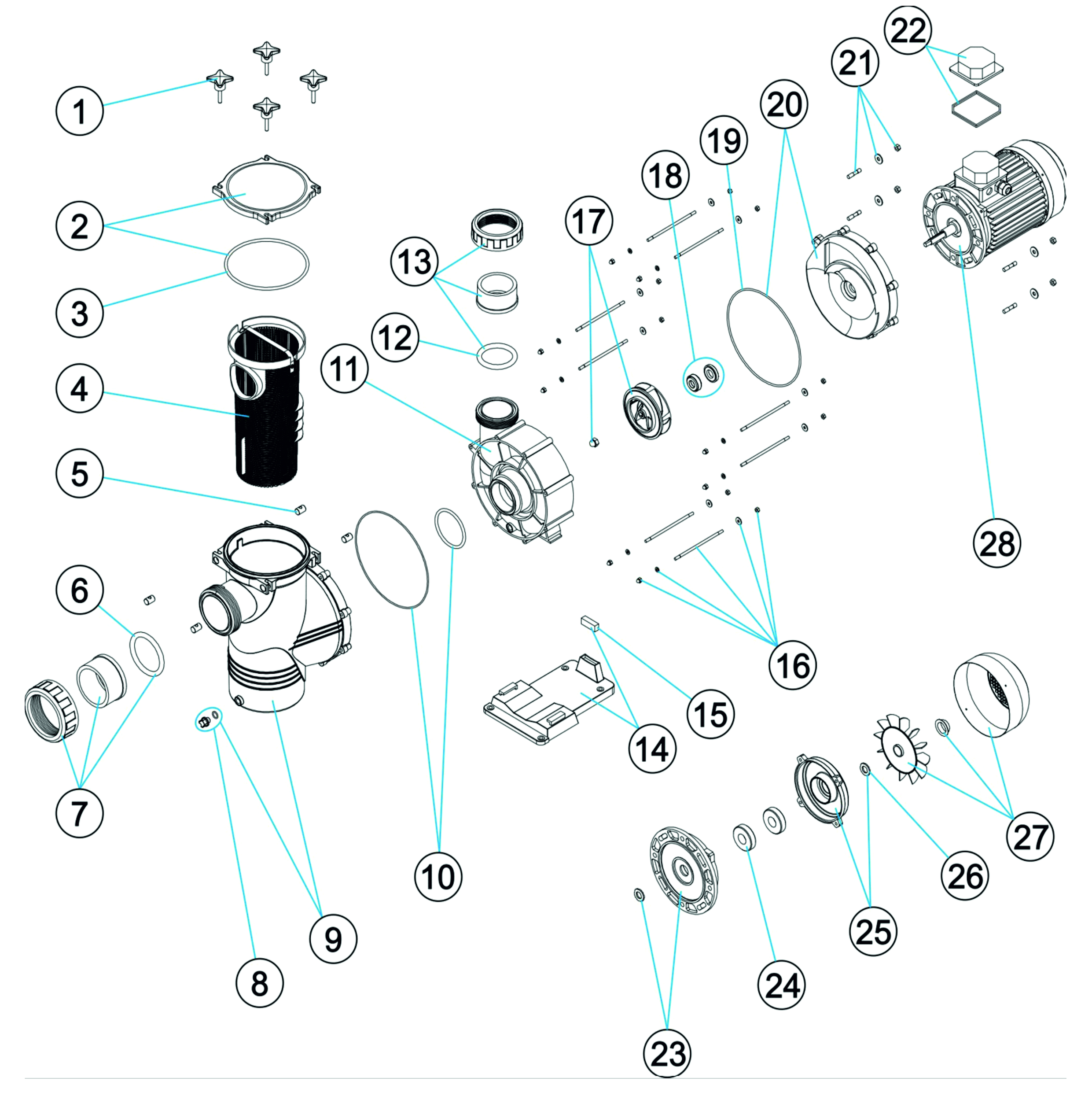 erpadlo Big Discovery 2023